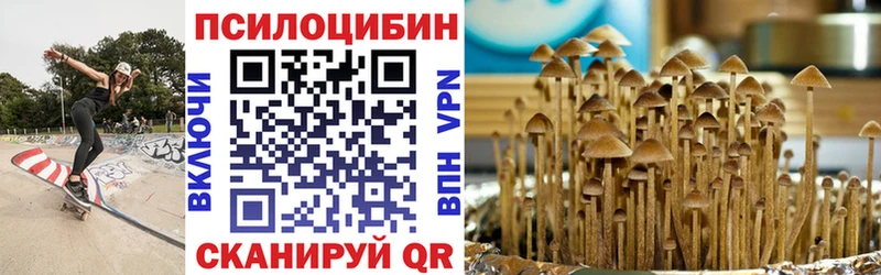 Купить  Завитинск  Псилоцибиновые грибы Cubensis 